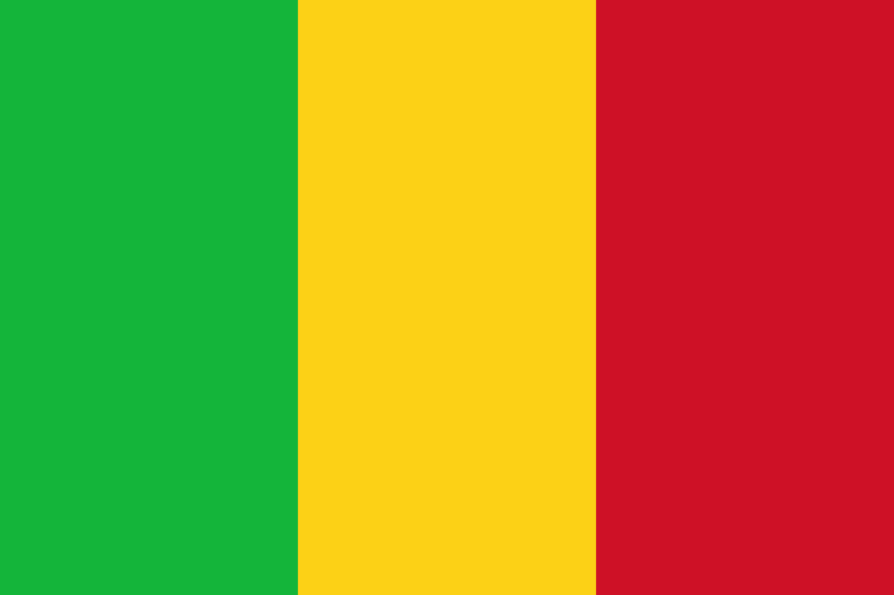 bandera Mali grande
